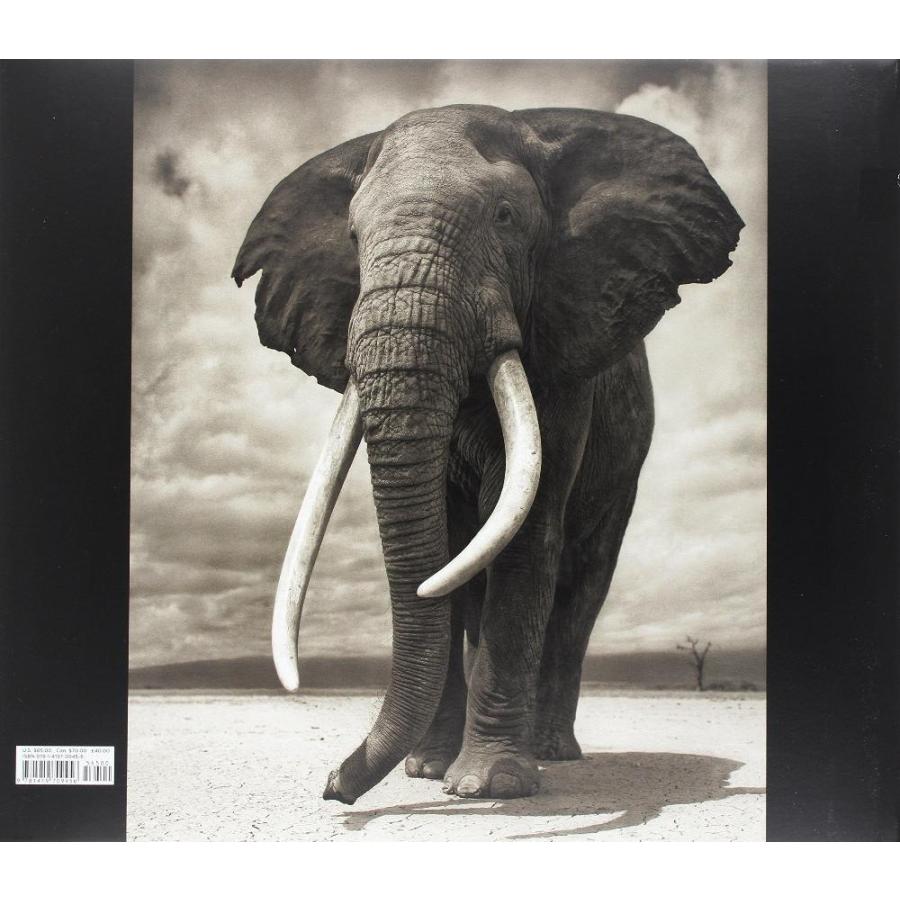 新春セール Across the Ravaged Land[並行輸入品] 【W2356064570】(11870円)