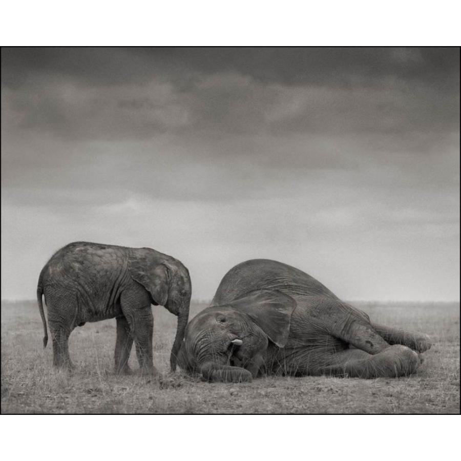 新春セール Across the Ravaged Land[並行輸入品] 【W2356064570】(11870円)