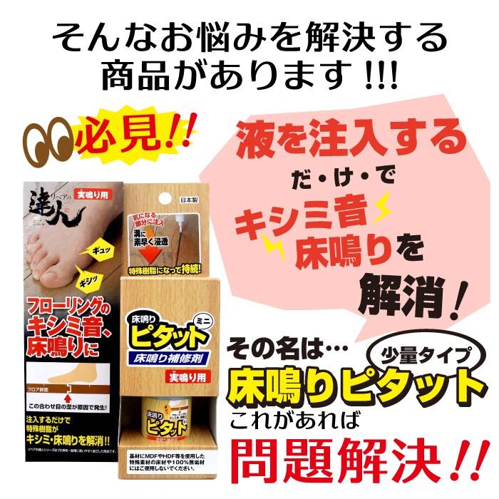 フローリング 補修剤 床鳴りピタットミニ RKP-44 きしみ 床鳴る 音 床