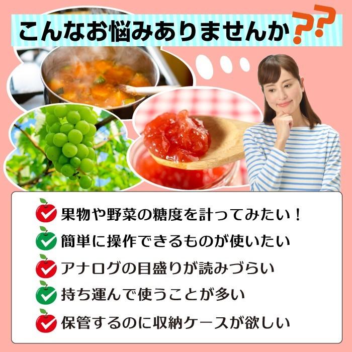 糖度計 デジタル 果樹名人 収納ケース カラビナ付き TKR-1 果物 野菜 高森コーキ糖度計【果汁名人】