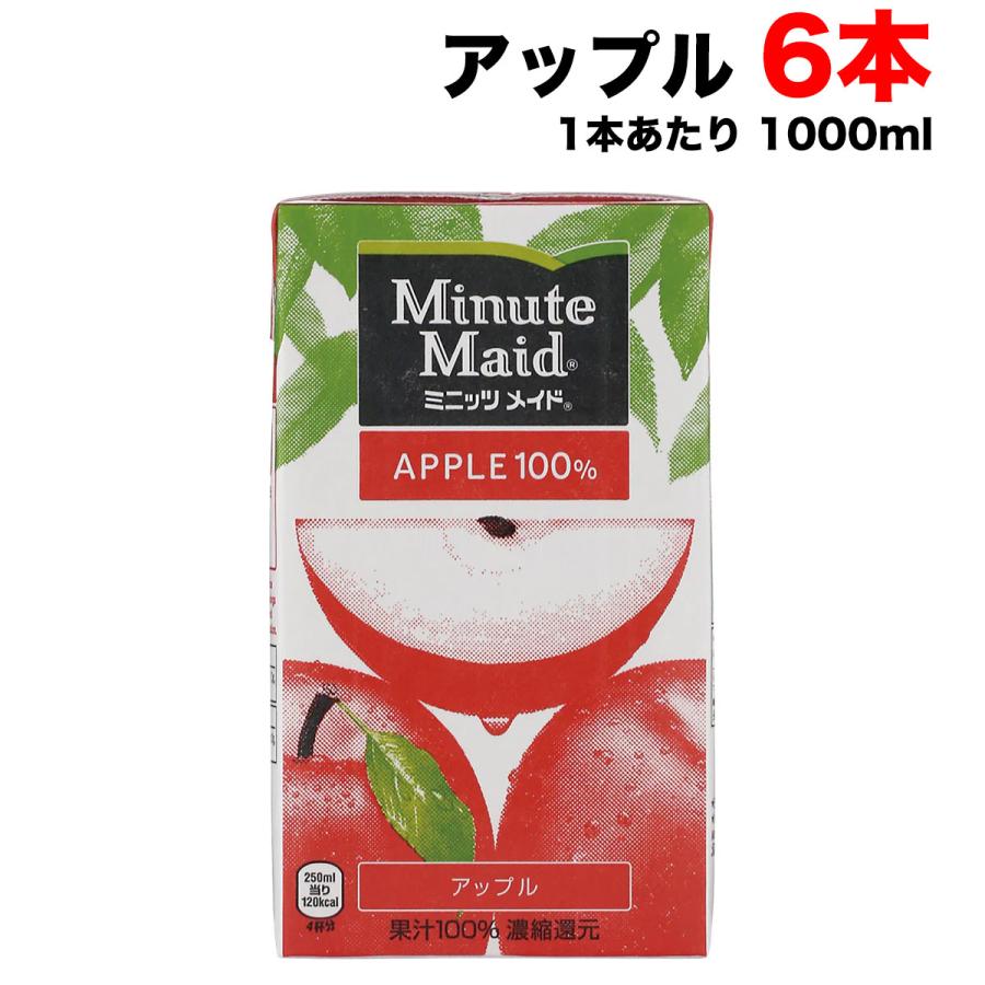 Minute Maid コカ・コーラ ミニッツメイド アップル 100% 1L紙パック×6