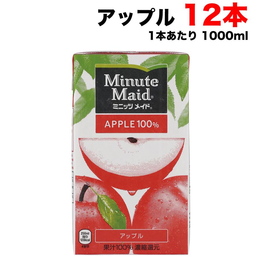 Minute Maid コカ・コーラ ミニッツメイド アップル 100% 1L紙パック