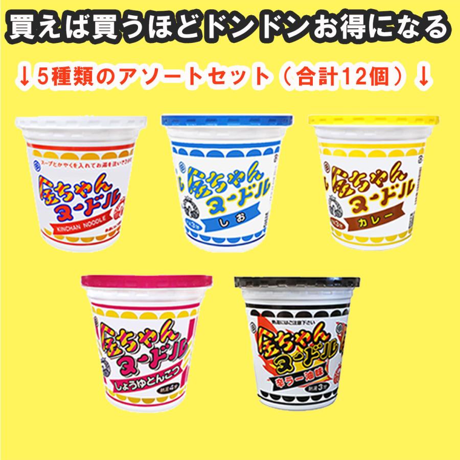 徳島製粉 金ちゃんヌードル 5種類 アソートセット(計12個)（醤油味・しお味・カレー味・しょうゆ豚骨味・辛ラー油味）【発送重量 5kg】codeB1｜hakariurisaiyasu