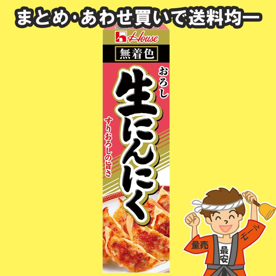 ハウス食品 ハウス おろし生にんにく 43g チューブ 1本 ガーリック