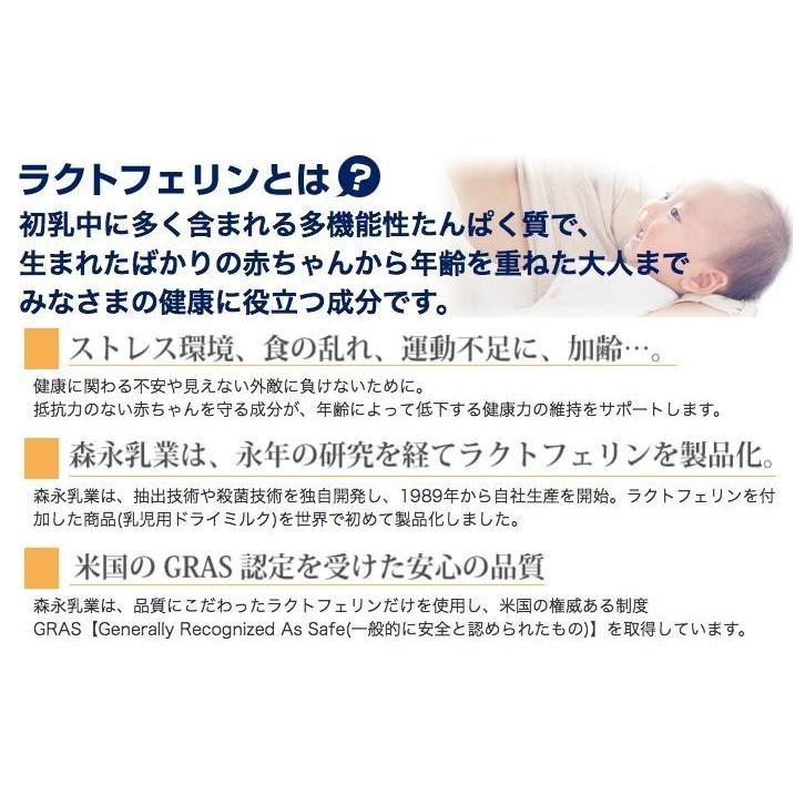 品質検査済 森永 ラクトフェリン サプリメント 90粒入 12個セット 1日6錠 約180日分 正規販売店 アルミパウチパッケージ 送料無料 北海道 東北 沖縄除く Babylonrooftop Com Au