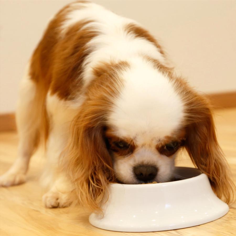 アニマル・ワン アニマルワン 犬の雑穀ごはん ペット自然食