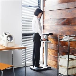 TANITA タニタ DC-13C デュアル周波数体組成計 グレー 非検定品