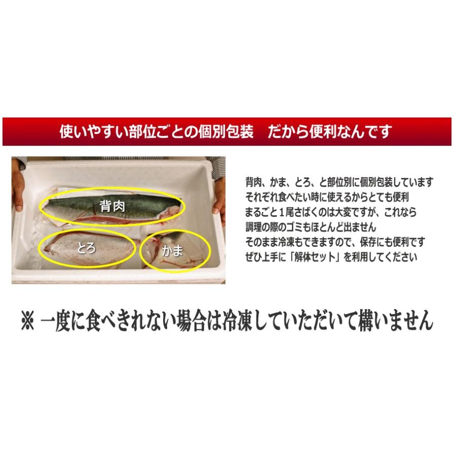 送料無料 ブリ 刺身用 半身 解体セット ぶり 鰤 寒ぶり お取り寄せ大賞 目利き食道 C 2 博多漁師の里オンラインショップ 通販 Yahoo ショッピング