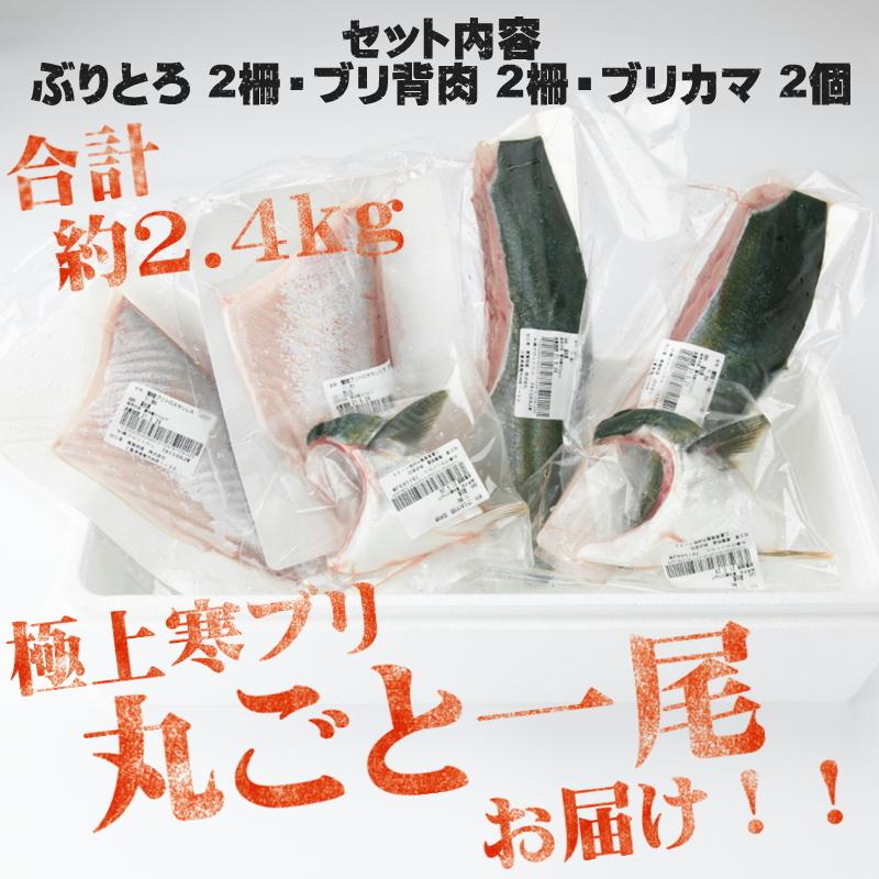 ワンタメカード　ぷりぷり様確認用 番外編】ワンタメ(カードのおさらい編)｜メイとひみつ。