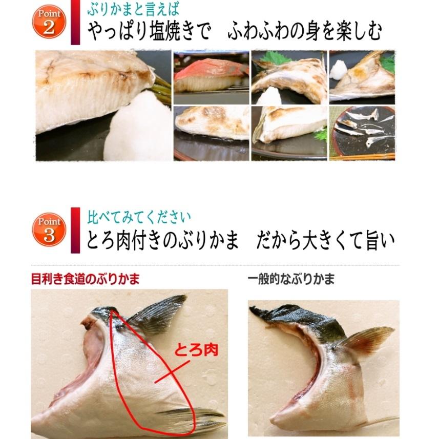 ブリ ハマチ ブリカマ 極厚 極上 ブリカマ 10個 セット お取り寄せ大賞 受賞 ブリ 目利き食道 C 6 博多漁師の里オンラインショップ 通販 Yahoo ショッピング