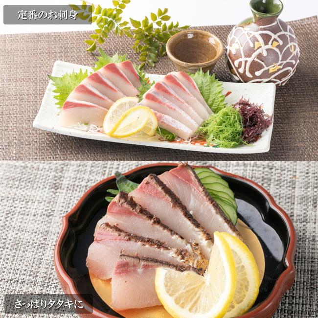 送料無料 新物 夏 ぶりとろ 刺身用 約250g×2pc  ブリ トロ ぶり 鰤 目利き食道｜hakata-ryoushinosato｜06