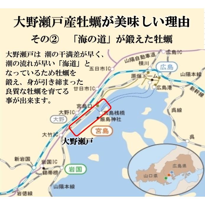 2Lサイズ 広島県産 大粒 冷凍 剥き かき 1kg NET850g バラ凍結 かき カキ 牡蠣 特大 広島 大野瀬戸｜hakata-ryoushinosato｜06