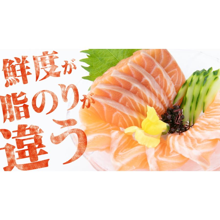 送料無料 サーモン 鮭 アトランティックサーモン 生 刺身用 背 腹セット 約600g 切るだけ とろける脂 鮭 ノルウェー サーモン 刺身 S 2 博多漁師の里オンラインショップ 通販 Yahoo ショッピング