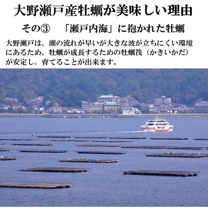 かき カキ 牡蠣 特大 2Lサイズ 広島県産 大粒 冷凍 剥き かき 2kg NET1700g バラ凍結 広島 大野瀬戸｜hakata-ryoushinosato｜06