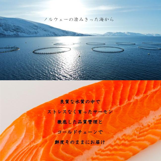 寒 ぶり サーモン 食べ比べセット 極上ぶりとろ 約300g / 生サーモン 約600g 刺身用 お取り寄せ大賞三連覇 目利き食道｜hakata-ryoushinosato｜04