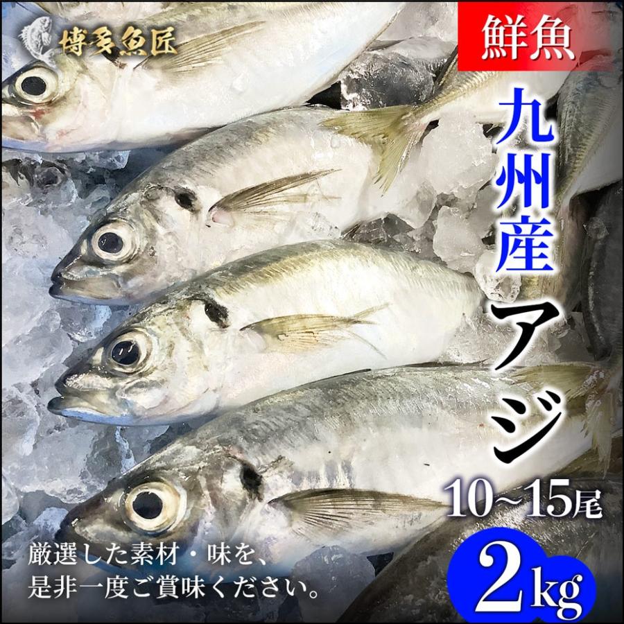 九州産 天然真アジ 2kg 1匹あたり 0g 300g前後 市場直送 天然魚 鮮魚 鯵 刺身 アジフライ 海産物 海鮮 お取り寄せ おつまみ Aji 2k 博多魚匠 通販 Yahoo ショッピング