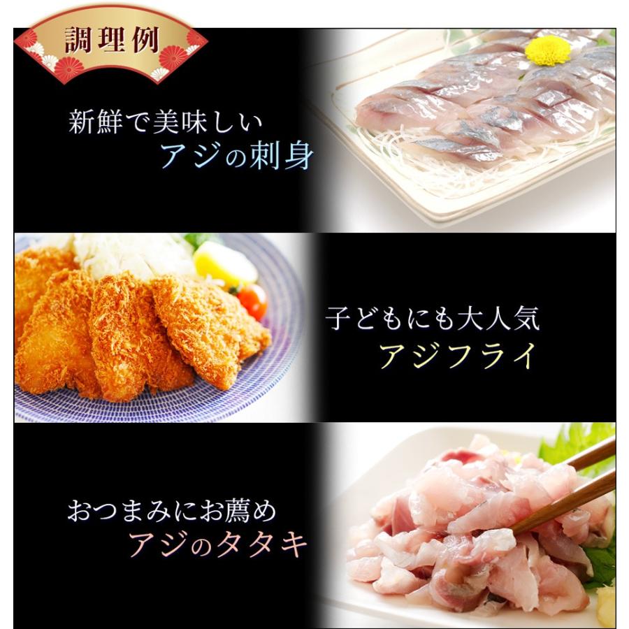 九州産 天然真アジ 4kg 1匹あたり 0g 300g前後 市場直送 天然魚 鮮魚 鯵 刺身 アジフライ 海産物 海鮮 お取り寄せ おつまみ Aji 4k 博多魚匠 通販 Yahoo ショッピング