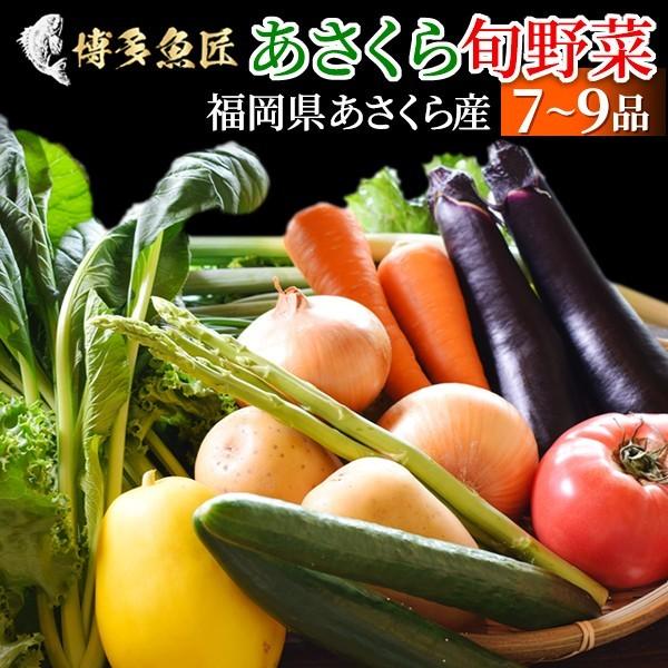 福岡県 あさくら旬野菜セット 野菜 産地直送 7 9品目 厳選 旬野菜詰合せ 野菜セット 九州産 福岡県産 朝倉産 送料無料 Asakurayasai 博多魚匠 通販 Yahoo ショッピング