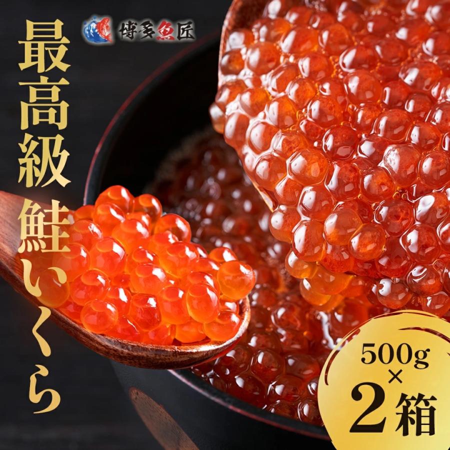 いくら イクラ 醤油漬け 500gx2個 サーモンキャビア ギフト 三陸産 青森産 鮭 海鮮 丼 寿司 贈答品 化粧箱 送料無料 :cabia-2pack:博多魚匠 - 通販 - Yahoo!ショッピング