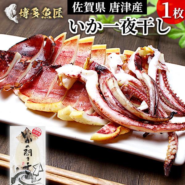 いか一夜干し いか開き干し 選ぶなら 1枚 イカ 烏賊 いか 干物 お取り寄せ グルメ 送料別 家庭用 冷凍 ビール おつまみ