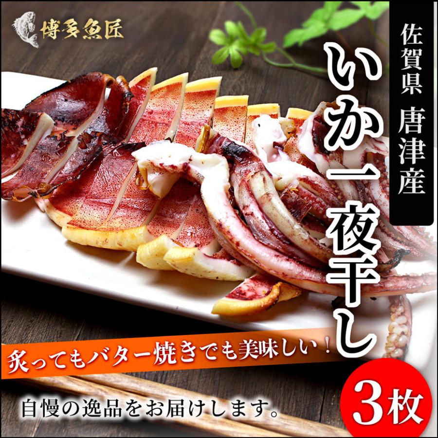 いか一夜干し いか開き干し 3枚 イカ 烏賊 いか 干物 家庭用 お取り寄せ グルメ 冷凍 おつまみ ビール 送料別 :ika-himono:博多魚匠 - 通販 - Yahoo!ショッピング いか一夜干し いか開き干し 3枚 イカ 烏賊 いか 干物 家庭用 お取り寄せ グルメ 冷凍 おつまみ ビール 送料別 :ika-himono:博多魚匠 - 通販 - Yahoo!ショッピング