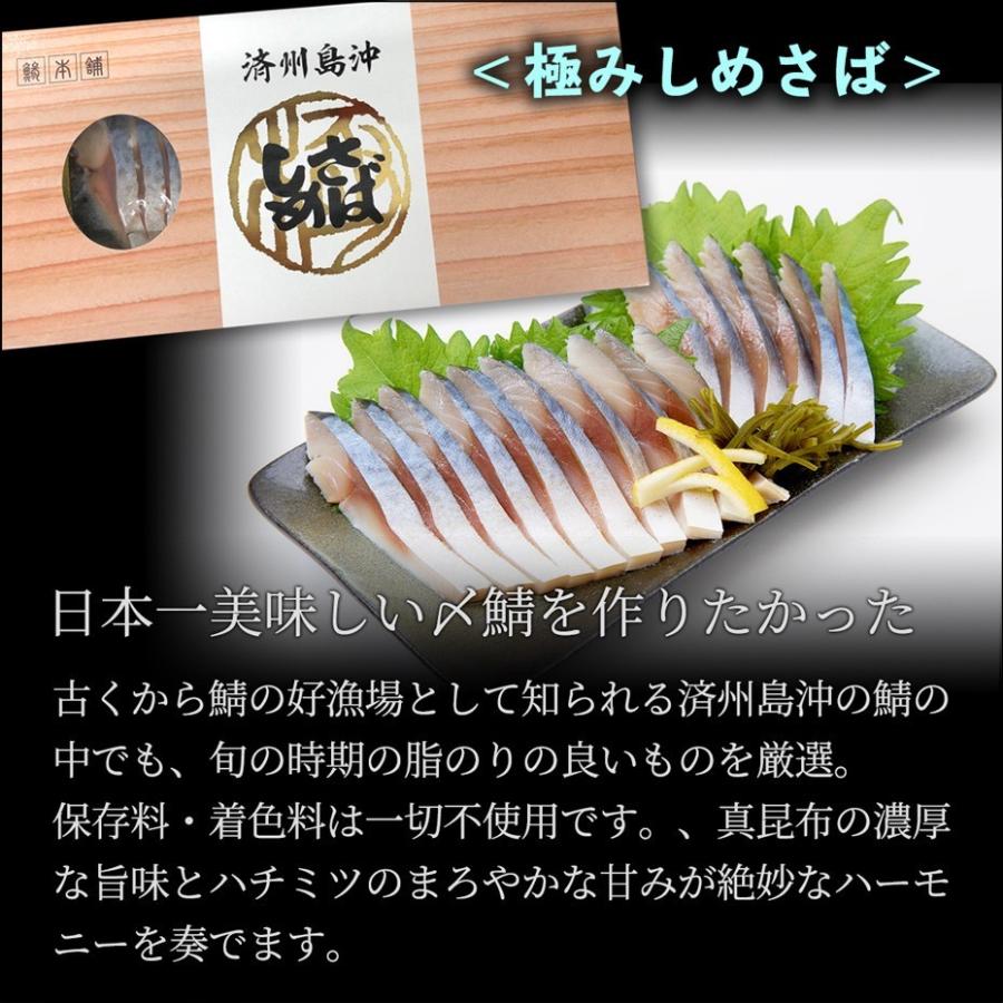 父の日 海宝セット 〆さば 西京漬 発売モデル 味噌煮 あじたたき 胡麻さば プレゼント お土産 送料無料 松前漬 贈答用 ギフト 食べ物
