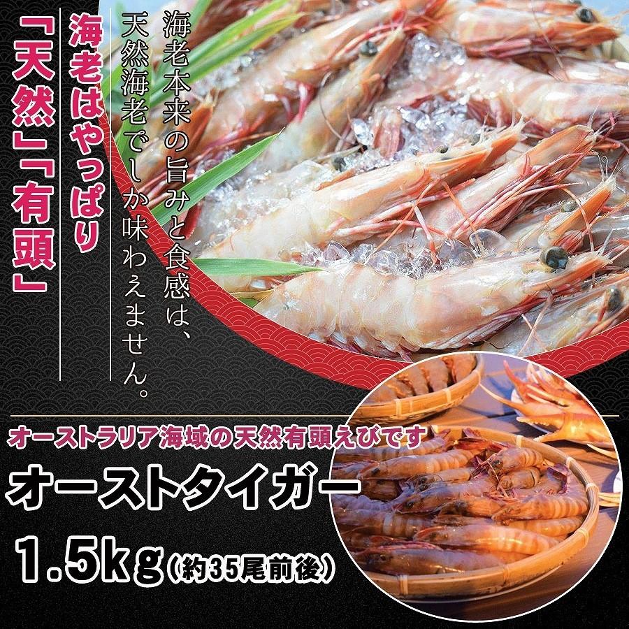 天然海老 1.5kg 約35尾前後 有頭 エビ えび オーストタイガー 海鮮 おせち 送料無料｜hakata-uosyo｜02