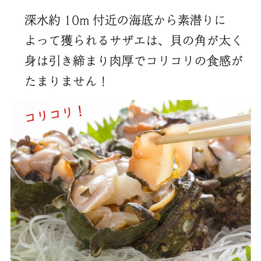 天然 活サザエ 刺身 冷蔵 1kg 8 15個入り 海鮮 お取り寄せグルメ 壱岐 対馬 お土産 ギフト Sazae01 博多魚匠 通販 Yahoo ショッピング