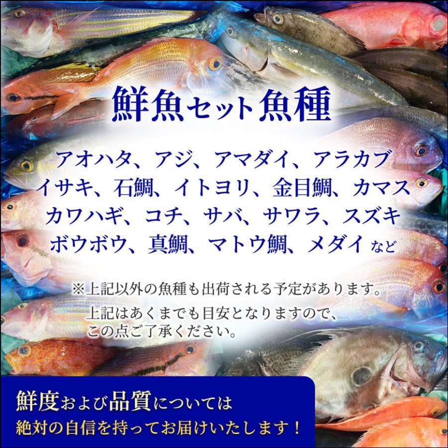 天然魚セット 竹 約7種類 8 12人前 博多 福岡 九州 鮮魚 高級魚 海鮮 送料無料 Sengyo02 博多魚匠 通販 Yahoo ショッピング