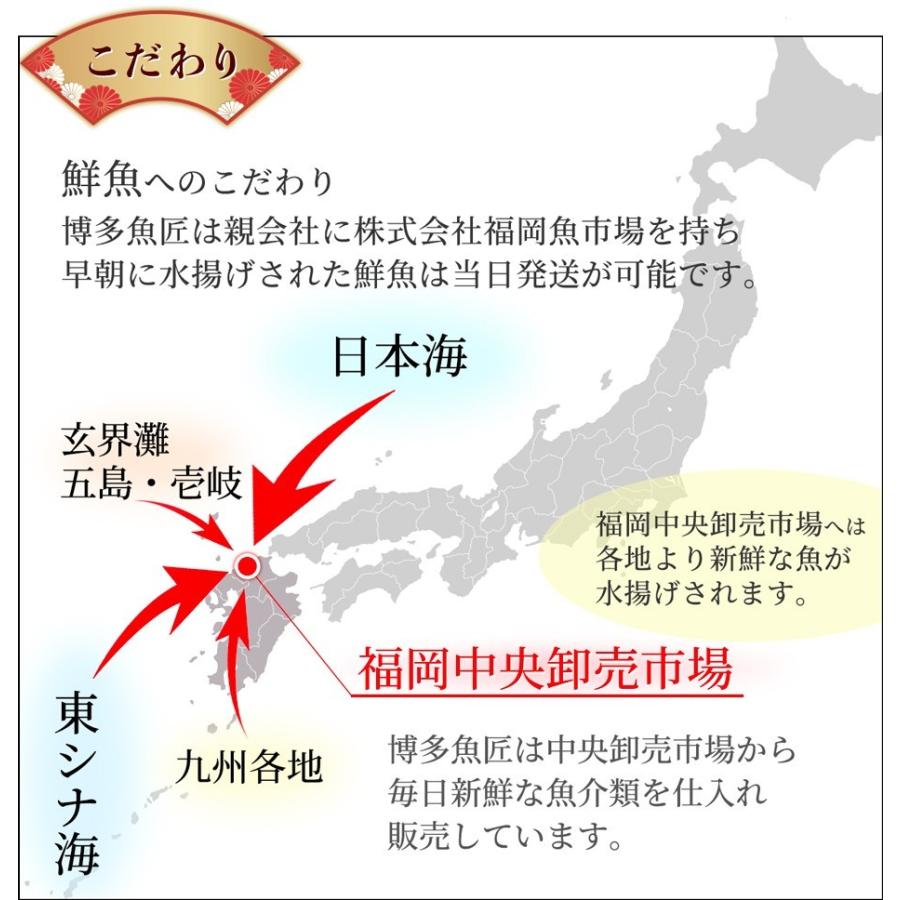 天然魚セット 梅 約5種類 4 6人前 博多 福岡 九州 鮮魚 高級魚 海鮮 送料無料 Sengyo03 博多魚匠 通販 Yahoo ショッピング