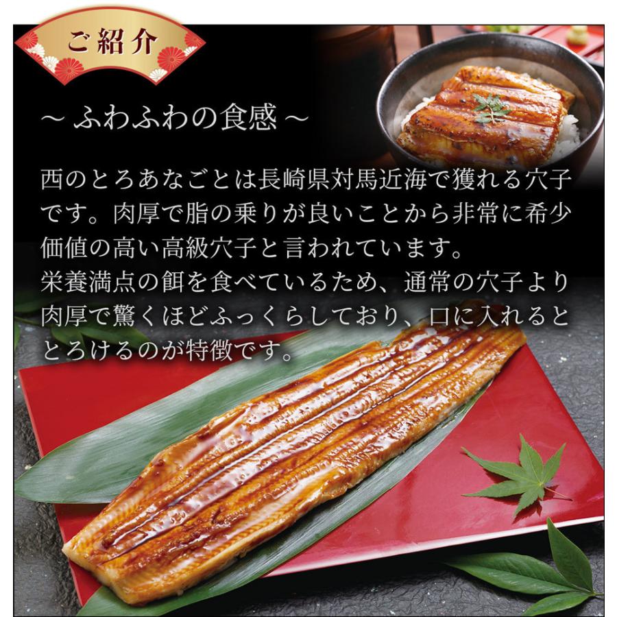 天然 国産 高級 穴子 西のとろあなご 4尾 長崎県 対馬産 姿煮穴子 煮穴子 穴子丼 お取り寄せグルメ お土産 食べ物 ギフト 贈り物 送料無料 Toroanago 博多魚匠 通販 Yahoo ショッピング