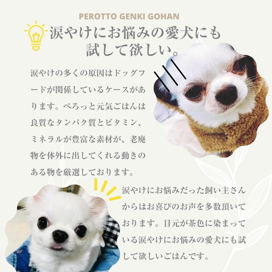 ドッグフード 無添加 国産 お試し 鶏肉 送料無料 ぺろっと元気ごはん100g｜hakatadogs｜09