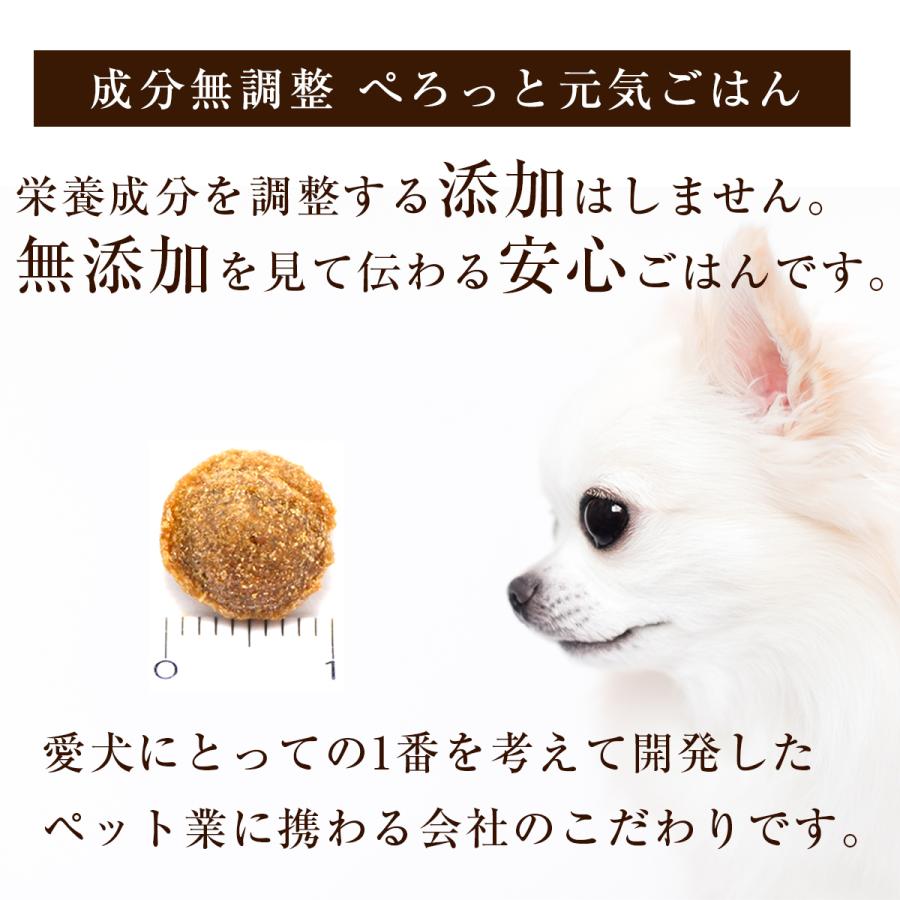 お試しセット 送料無料 ぺろっと元気ごはん 50g  ペースト 4本 おやつ 送料無料 無添加 国産 全犬種 全年齢 対応 チキン 鶏肉 ドッグフード |  | 14