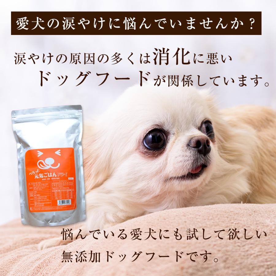 お試しセット 送料無料 ぺろっと元気ごはん 50g  ペースト 4本 おやつ 送料無料 無添加 国産 全犬種 全年齢 対応 チキン 鶏肉 ドッグフード |  | 17