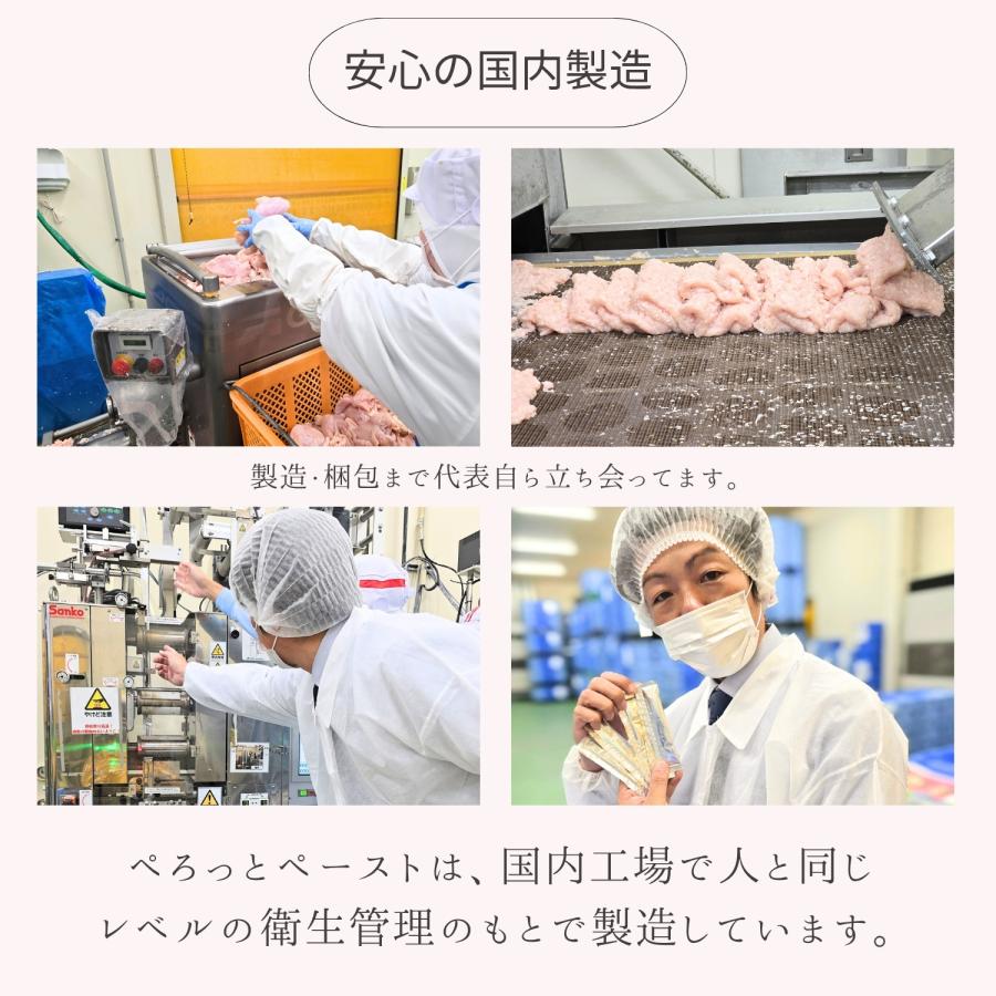 お試しセット 送料無料 ぺろっと元気ごはん 50g  ペースト 4本 おやつ 送料無料 無添加 国産 全犬種 全年齢 対応 チキン 鶏肉 ドッグフード |  | 09