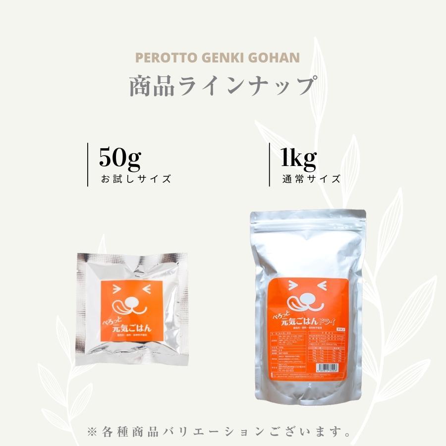 【お試しセット】ぺろっと元気ごはん 50g×2袋 + ジャーキー40g 送料無料 見える無添加 国産 ドッグフード チキン |  | 09