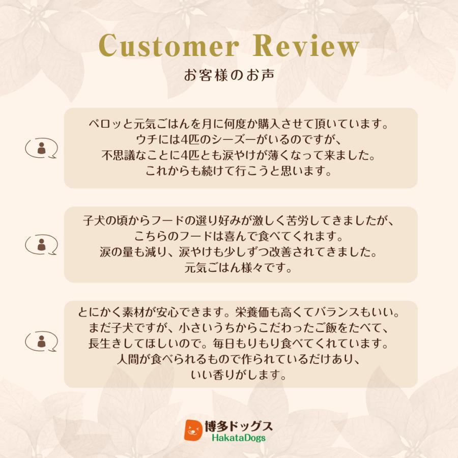 涙やけ ドッグフード 無添加 500g 国産 ノンオイル コーティング チキン 小型犬 全年齢対応 ヒューマングレード 目やに 消化 ドライフード ぺろっと元気ごはん |  | 14