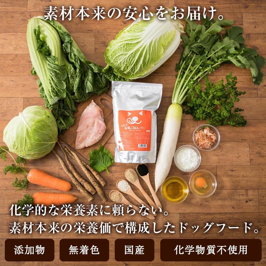 【 選べる お試し 3点セット 送料無料 】 ドッグフード 無添加 国産 ペースト ジャーキー シニア 涙やけ おやつ サンプル 試供品 偏食 ノンオイルコーティング |  | 07