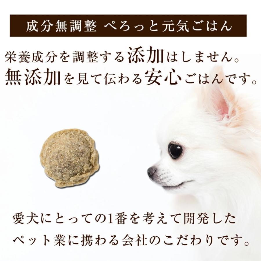 【 選べる お試し 3点セット 送料無料 】 ドッグフード 無添加 国産 ペースト ジャーキー シニア 涙やけ おやつ サンプル 試供品 偏食 ノンオイルコーティング |  | 08