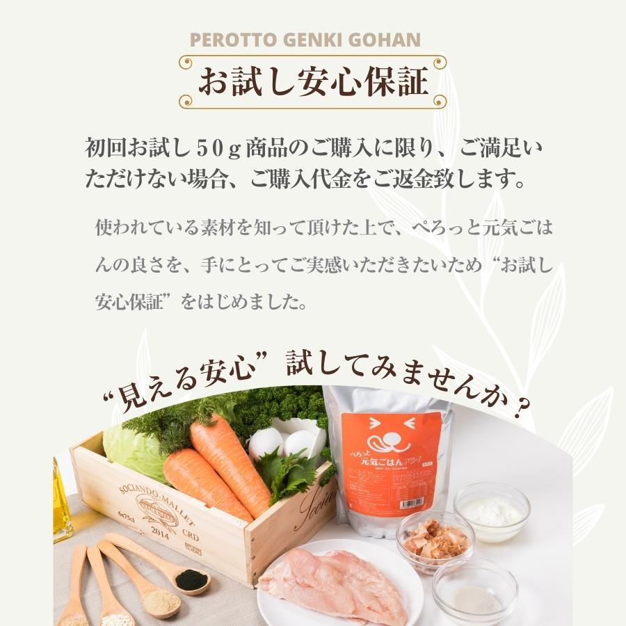 博多ドッグスお試し3点セット【送料無料】ぺろっと元気ごはん100g+ジャーキー40g+シャンプー＆リンス各15ml×1個ずつ |  | 12