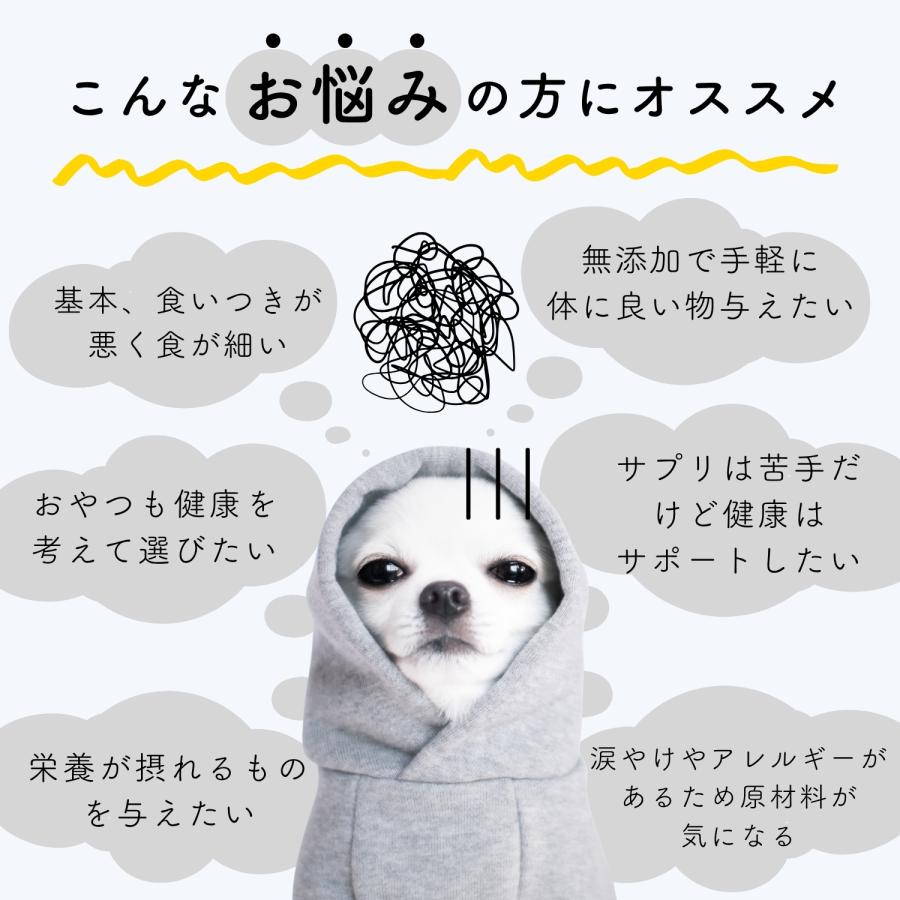 【 犬 ペースト 無添加 おやつ 】 ぺろっとペースト 国産 馬肉 ＆ MCTオイル 16本入 トッピング 栄養補助 健康サポート シニア犬 成犬 子犬対応 低脂質 爆買 |  | 09