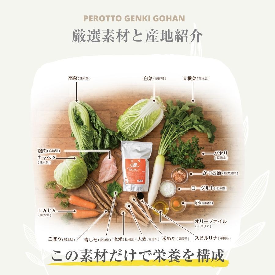 【お得セット】ぺろっと元気ごはん 1kg×3袋 + ジャーキー40g ×3袋 送料無料 見える無添加 国産 ドッグフード |  | 10