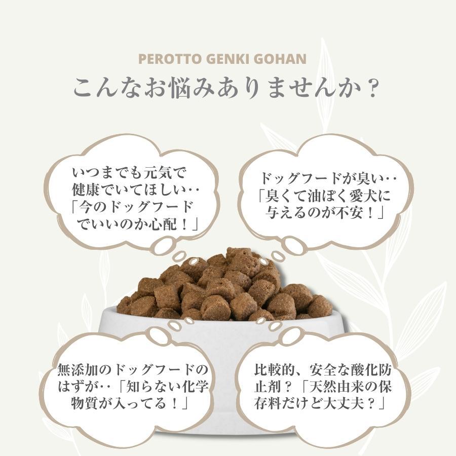 【お得セット】ぺろっと元気ごはん 1kg×3袋 + ジャーキー40g ×3袋 送料無料 見える無添加 国産 ドッグフード |  | 02