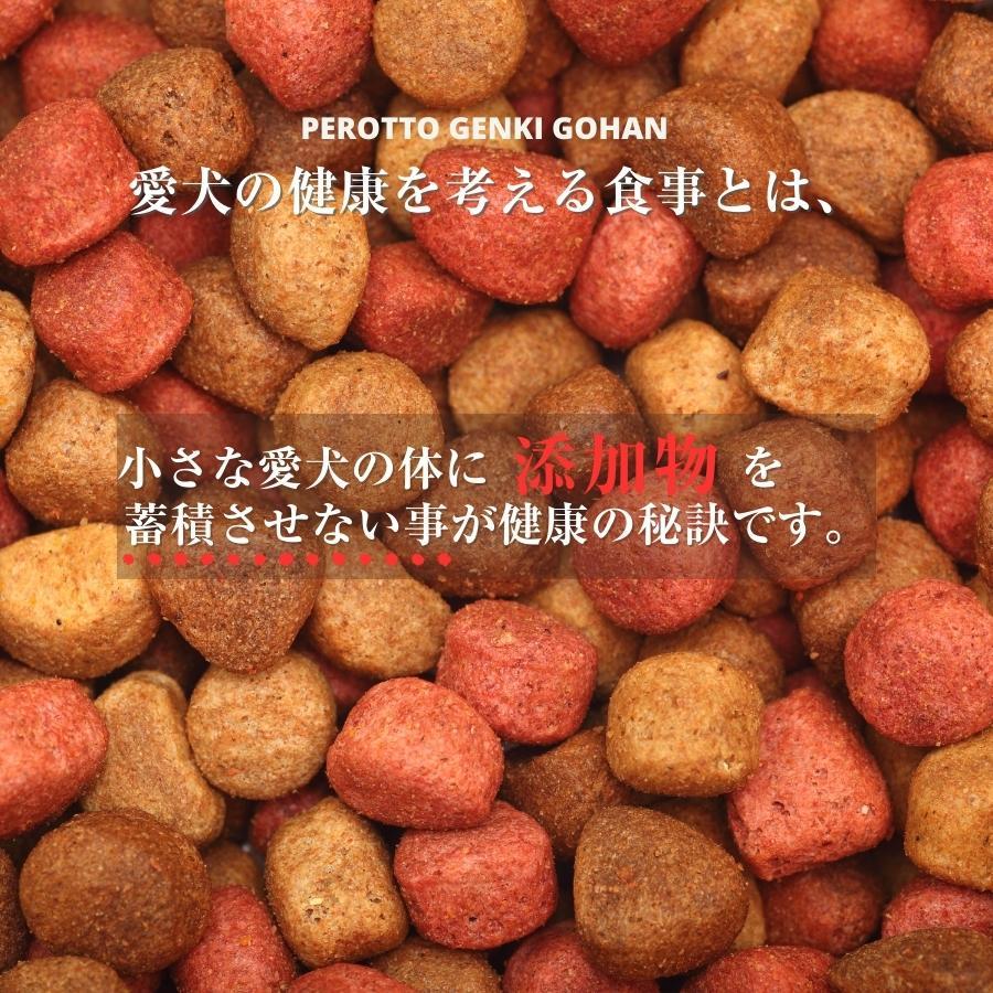 【お得セット】ぺろっと元気ごはん 1kg×3袋 + ジャーキー40g ×3袋 送料無料 見える無添加 国産 ドッグフード |  | 03
