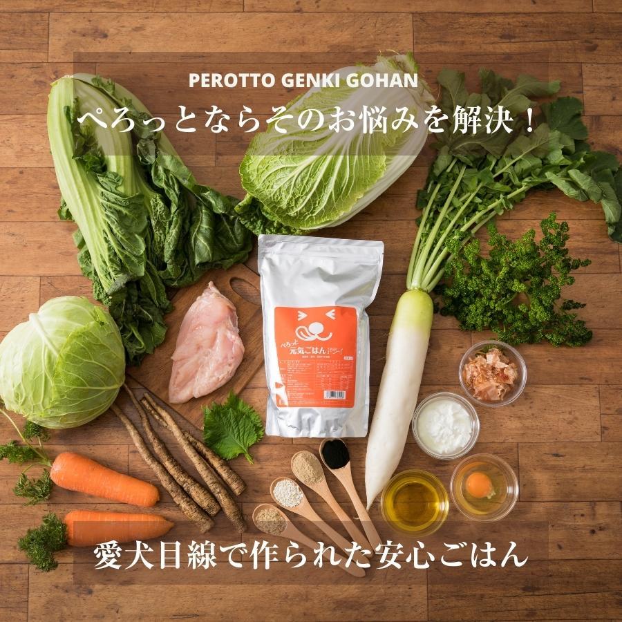 【お得セット】ぺろっと元気ごはん 1kg×3袋 + ジャーキー40g ×3袋 送料無料 見える無添加 国産 ドッグフード |  | 04