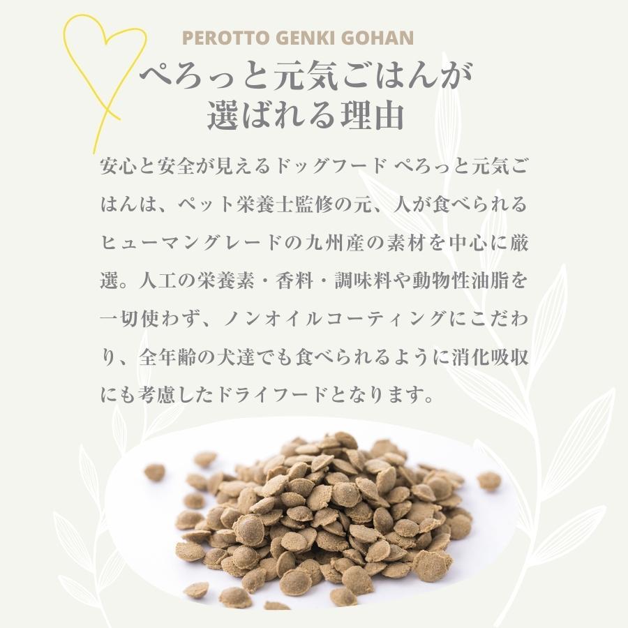 【お得セット】ぺろっと元気ごはん 1kg×3袋 + ジャーキー40g ×3袋 送料無料 見える無添加 国産 ドッグフード |  | 05