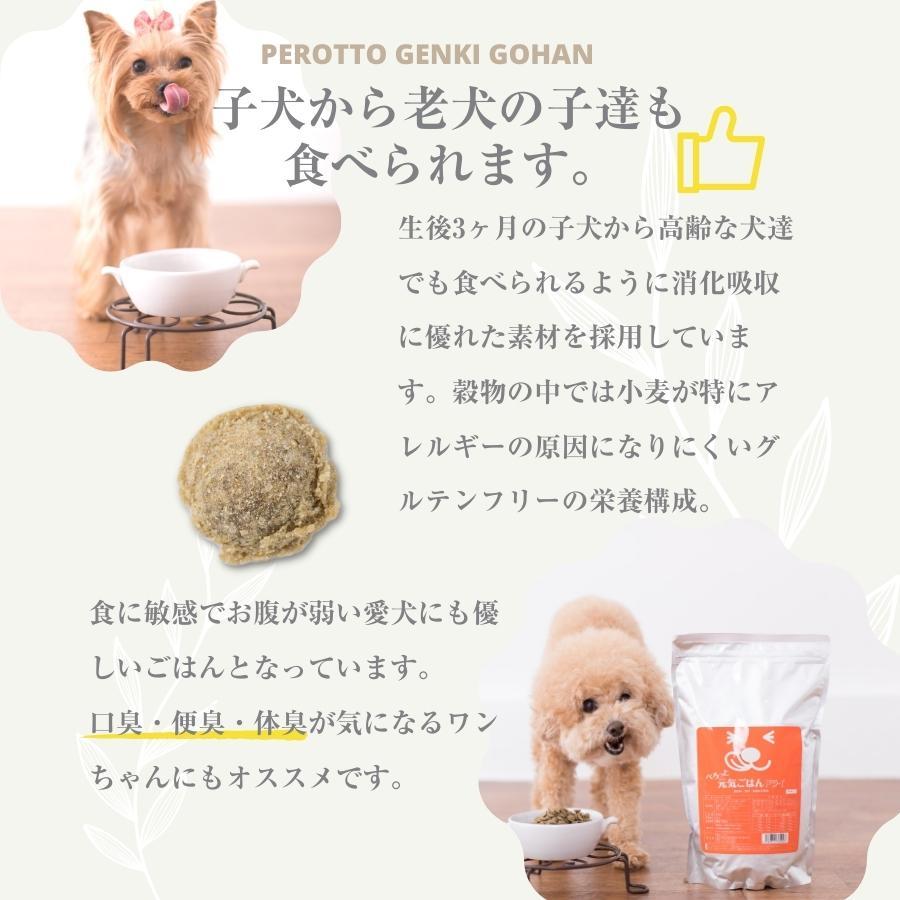 【お得セット】ぺろっと元気ごはん 1kg×3袋 + ジャーキー40g ×3袋 送料無料 見える無添加 国産 ドッグフード |  | 07