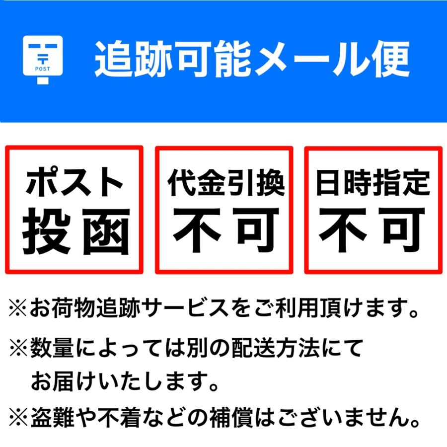 漆刷毛 うるし刷毛 本通し 8号 幅 21mm 厚み 3mm 長さ 153mm ｜ 8分 人