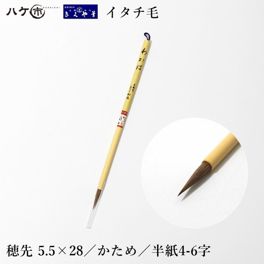 きくや筆本舗 書道筆 わかば 太さ 5mm×毛丈23mm かため 半紙4-6字 20