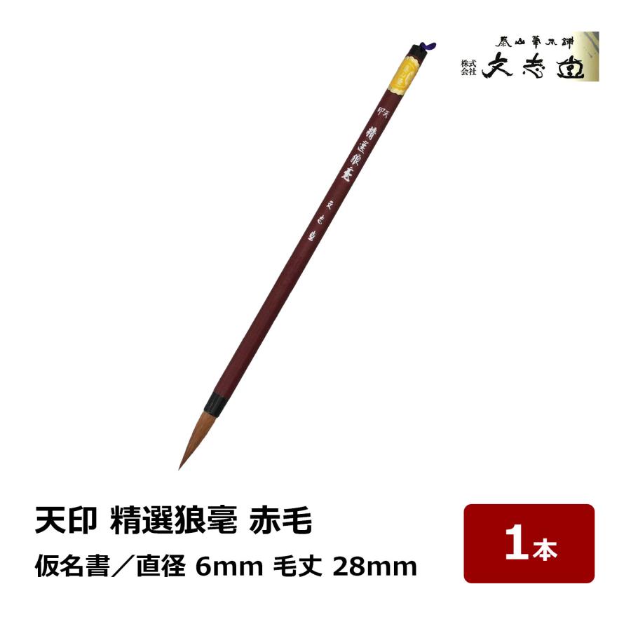 文志堂 天印 精選狼毫 赤毛 太さ 6mm 毛丈 28mm 1本｜小筆 細筆 細書